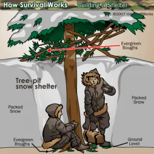 How To Build A Survival Shelter