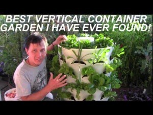 Growing Your Greens