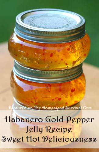 Habanero Gold Jelly