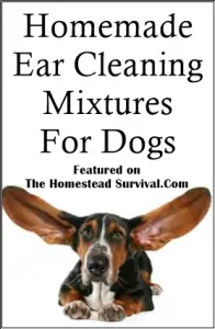 Dog Ear cleaning recipes