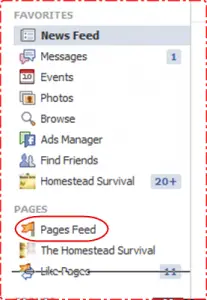 page feeds
