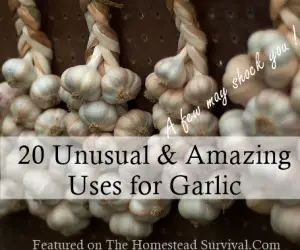 unusual uses for garlic