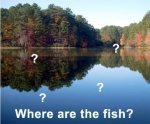 where are the fish