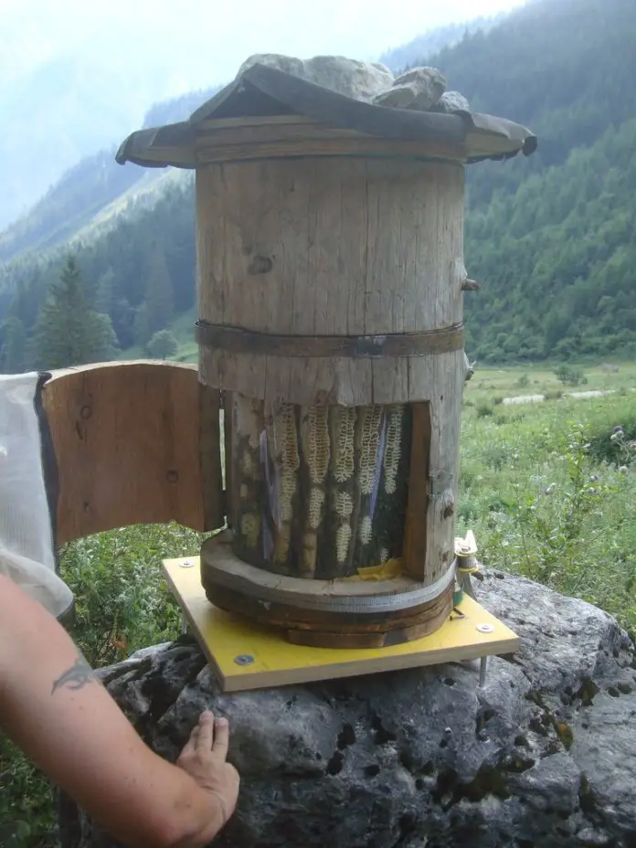 Holzer Style Log Bee Hive