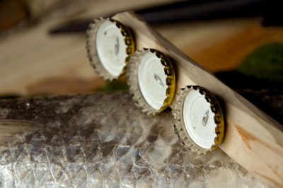 The Best Fish Scaler You Will Ever Own And A Quick Cured Fish Recipe
