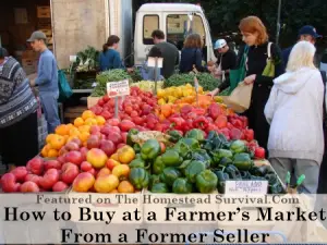 How to Buy at a Farmers Market From a Former Seller