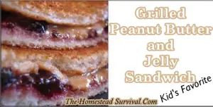 Grilled Peanutbutter and Jelly Sandwich