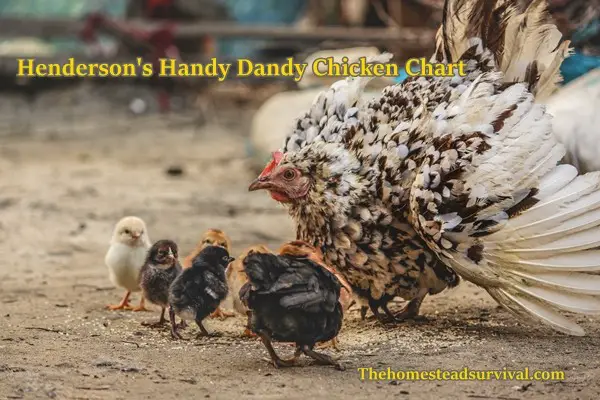 Henderson's Handy Dandy Chicken Chart
