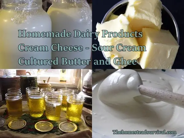Homemade Dairy Products  Cream Cheese  Sour Cream  Cultured Butter and Ghee