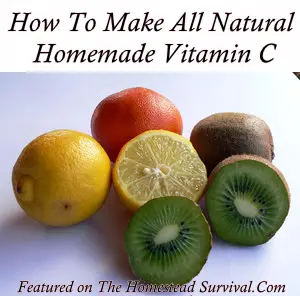 Homemade Vitamin C