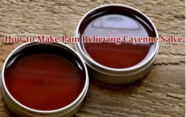 How to Make Pain Relieving Cayenne Salve