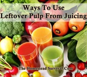 Ways To Use Leftover Juicing Pulp