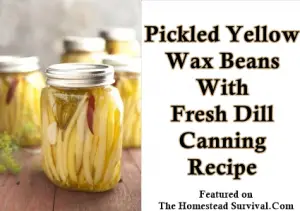 Pickled Yellow Wax Beans With Fresh Dill