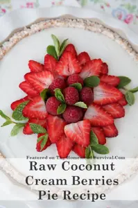Raw Coconut Cream  Berries Pie Recipe
