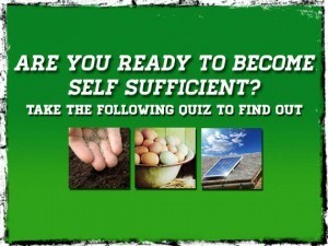 Self-Sufficienct-Quiz