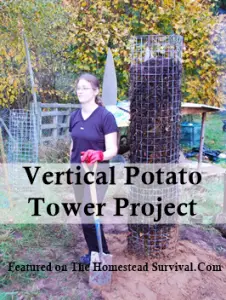 Vertical Potato Tower Gardening Project 