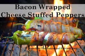 Bacon Wrapped Cheese Stuffed Peppers