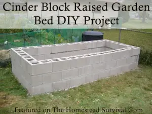 cinder block raised garden bed 
