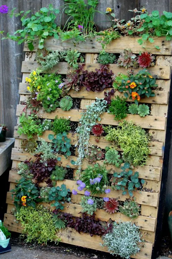 How to Build a Vertical Garden Using Wood Pallets