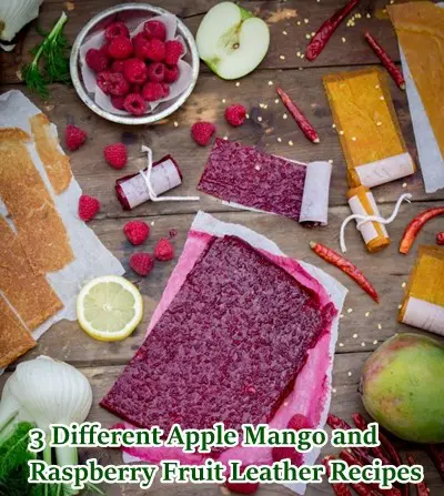 3 Different Apple Mango and Raspberry Fruit Leather Recipes