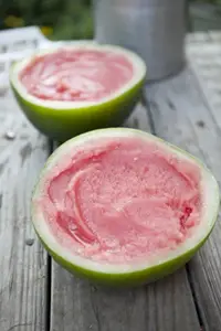 Watermelon Lime Sorbet Slices