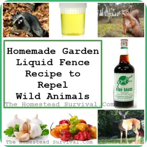 Homemade Garden Liquid Fence Recipe to Repel Forest Animals