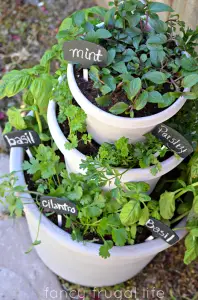 How To Make a Stacked Herb Garden