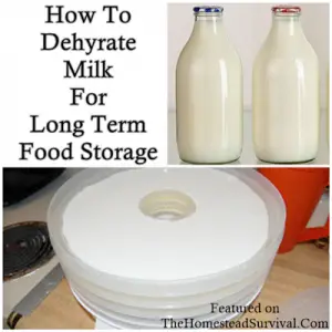 How_To_Dehydrate_Milk