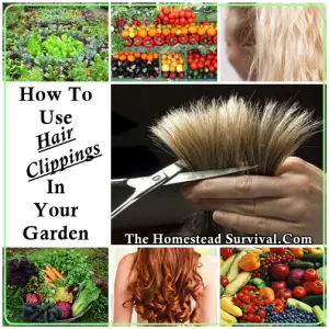 How To Use Hair Clippings In Your Garden