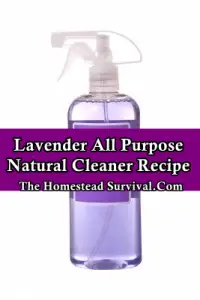 Lavender_All _Purpose _Natural _Cleaner _Recipe