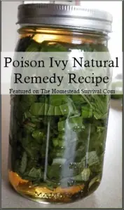 Poison Ivy Natural Remedy Recipe