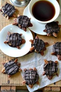 Vegan Turtles