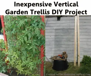 Vertical Garden Trellis DIY Project