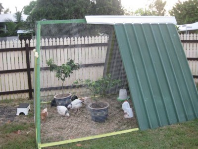 Re Purposed Swing Set Chicken Coop DIY Project