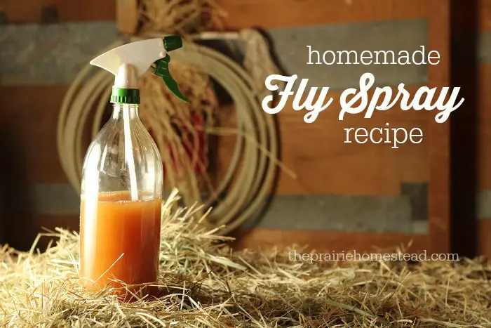 Natural Homemade Fly Spray Recipe