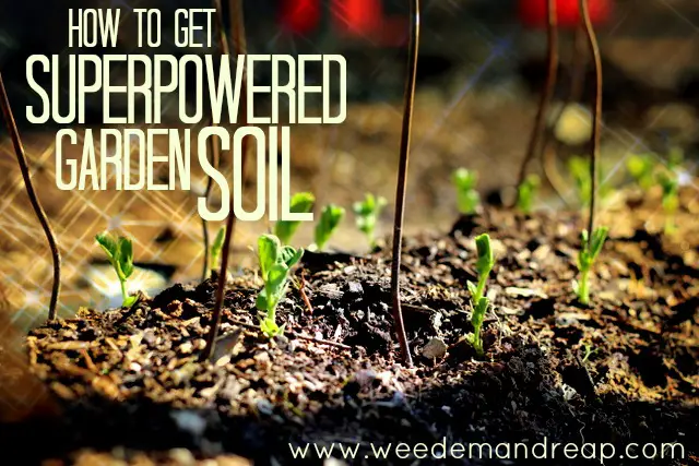 Superpowered Garden Soil and How To Get It