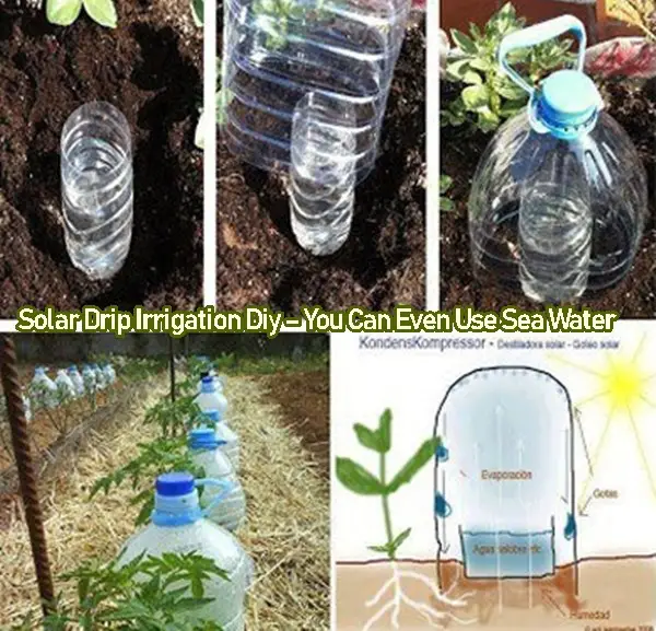 Solar Drip Irrigation Diy – You Can Even Use Sea Water