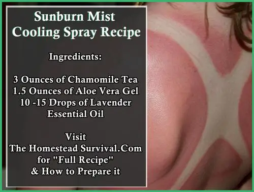 Sunburn Mist Cooling Spray Natural Remedy Recipe