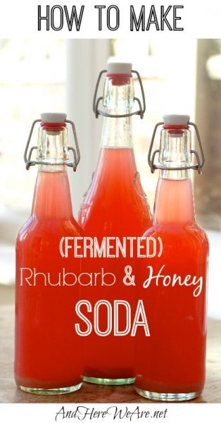 Fermented Rhubarb Honey Soda Recipe