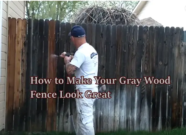 How to Make Your Gray Wood Fence Look Great