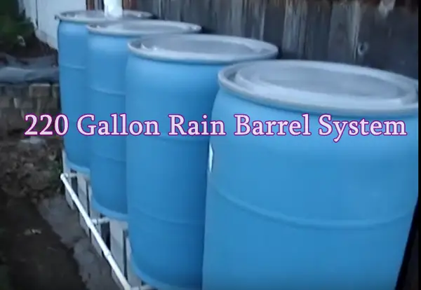 220 Gallon Rain Barrel System