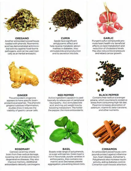 Powerful Healing Herbs and Spices