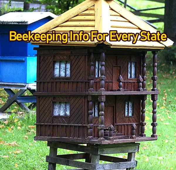 Beekeeping Info For Every State