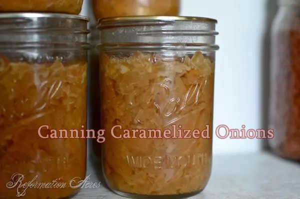 Canning Caramelized Onions