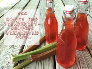 Honey and Strawberry Rhubarb Fermented Soda Recipe