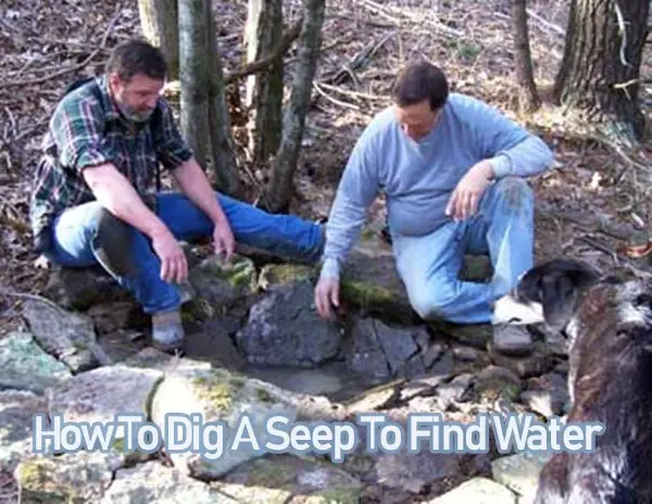 How To Dig A Seep To Find Water