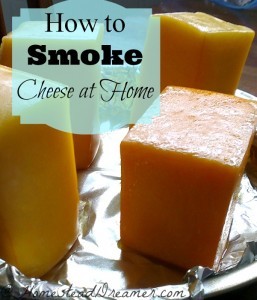 How to Smoke Delicious Cheese at Home