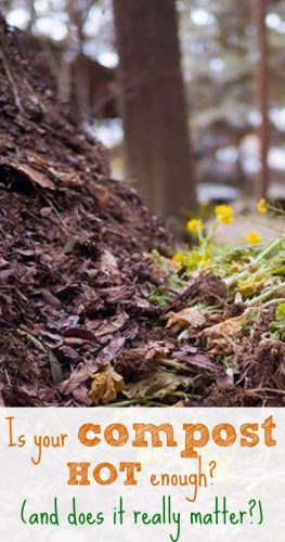 Is Your Compost Hot Enough and Why It Matters