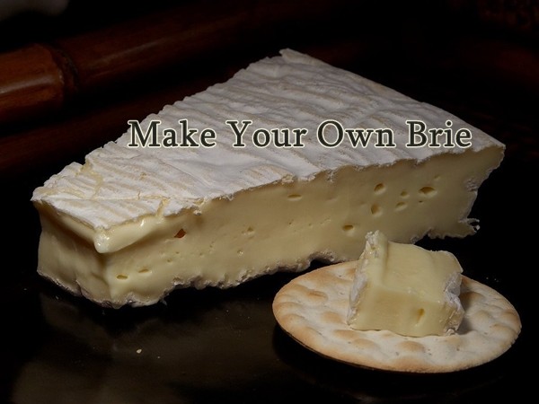 Make Your Own Brie