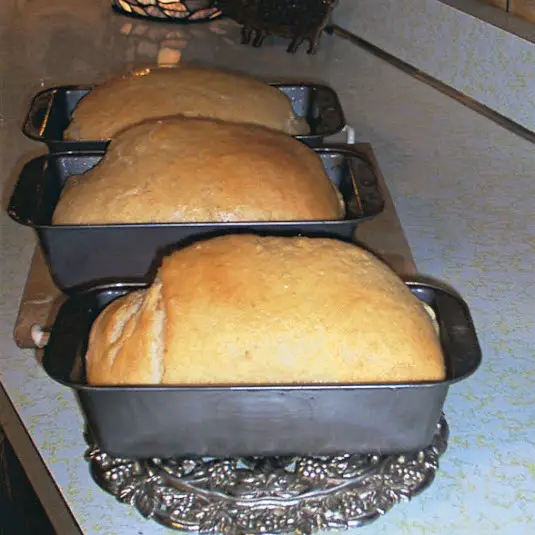 Pioneer Bread Made Without Yeast